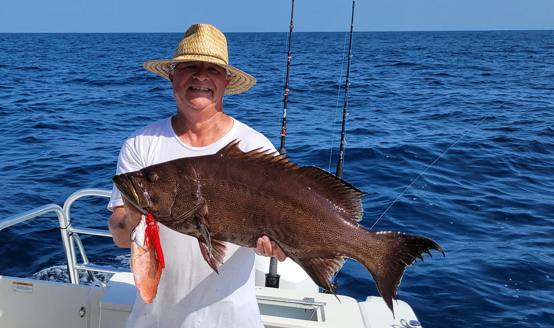 Chumming 101 For Grouper: Drop Your Butterflied Bait And Chum As One 2024
