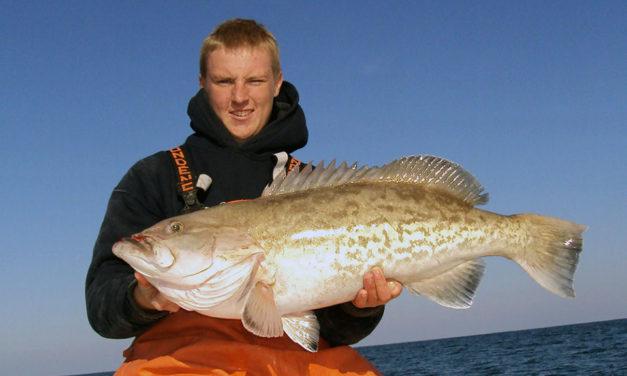 Grouper Jig 101: Barefoot Crab Decoy Jigs for Large Gags