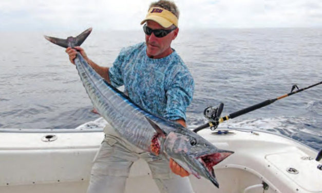 Follow the Bait for Nearshore Wahoo