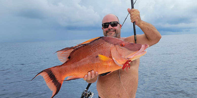 Hogfish on a Barefoot Crab Decoy Jig