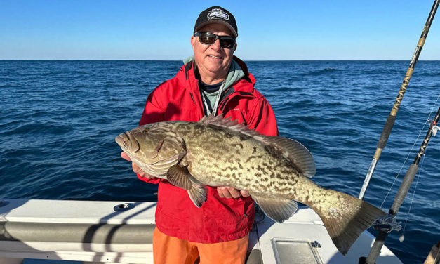 How Grouper Fishing in December Can Be Red Hot