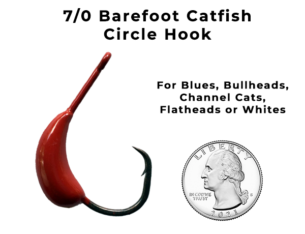7/0 Barefoot Catfish Circle Hook Catches Blues, Bullheads, Channel Cats, Flatheads or Whites