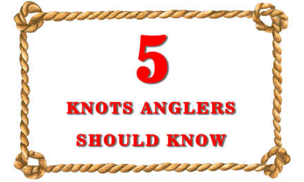 Fishing Knots: Knot Tying 101 — Getting Back to Basics