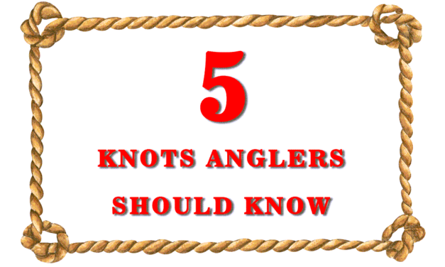 Fishing Knots: Knot Tying 101 — Getting Back to Basics