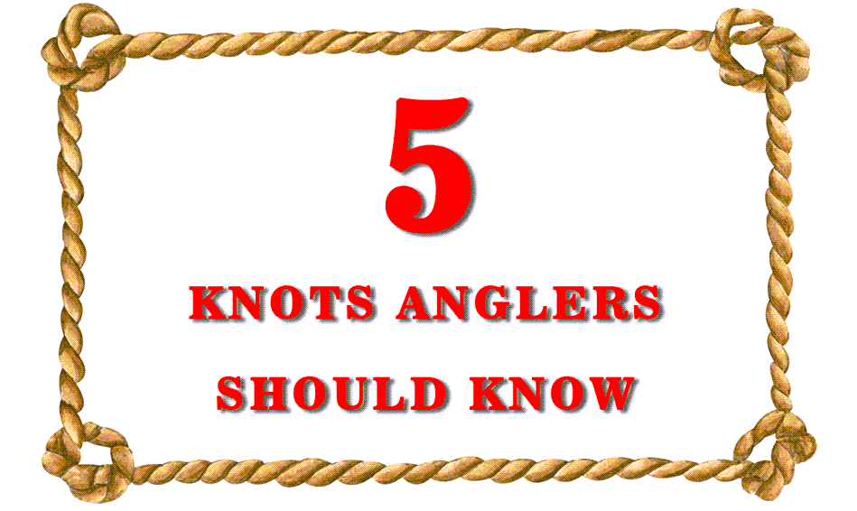 Fishing Knots: Knot Tying 101 — Getting Back to Basics