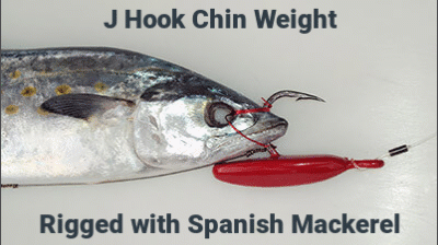 Saltwater Hooks and Jigs