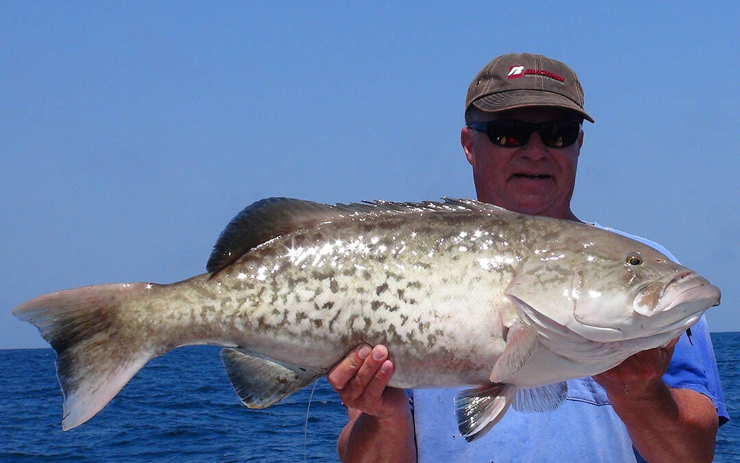 They Know Fall is Coming