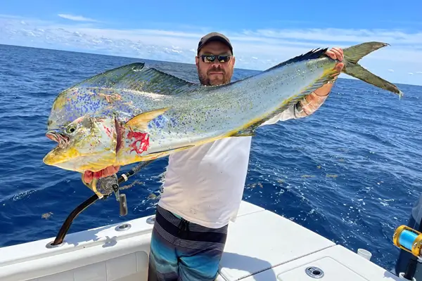 Dolphin on a Barefoot Decoy Jig