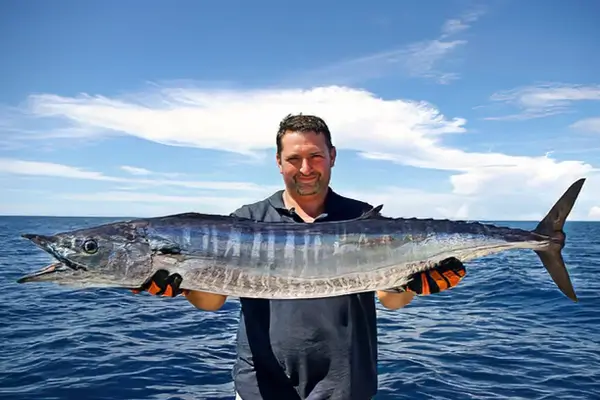 Wahoo on a Barefoot Decoy Jig