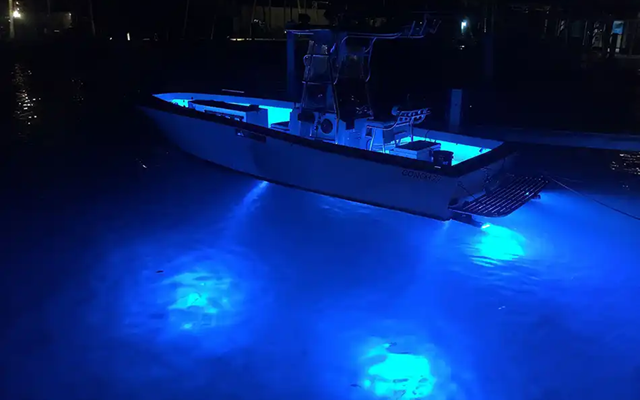 blue lights illuminating fish under a docked boat