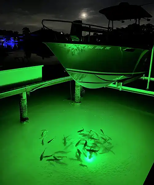 boatlift lights light up the fish under the docked boat